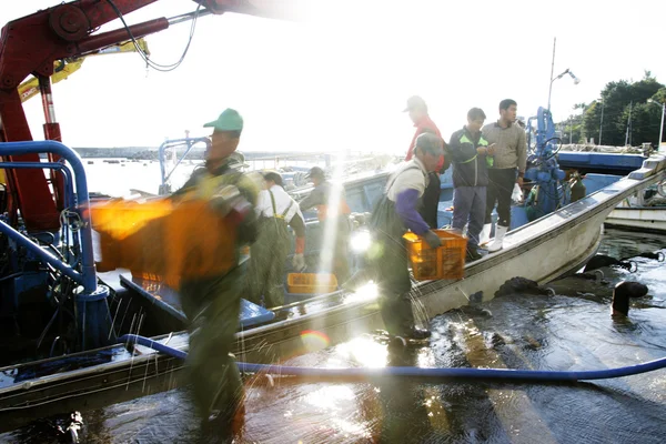 Pescadores en Seaport —  Fotos de Stock