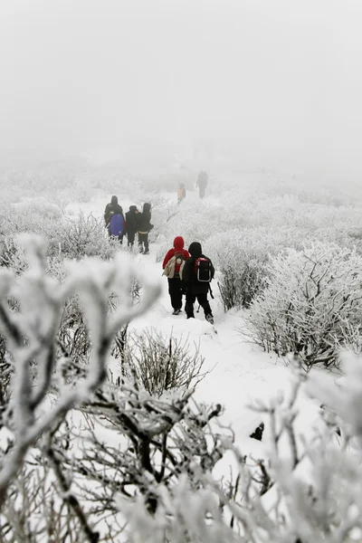 People walk in beautiful winter mountains — Stock Photo, Image