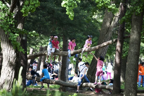 Niños jugando en el parque — Foto de Stock