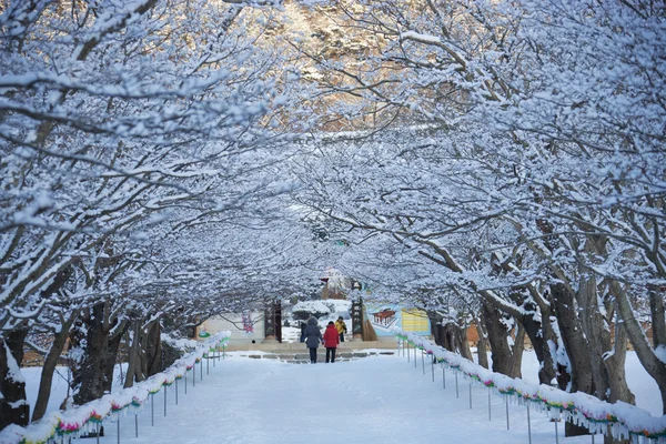 Winterlandschap bij naesosa tempels — Stockfoto