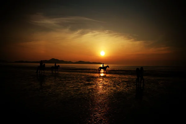 Le cavalier sur la plage pendant le coucher du soleil — Photo