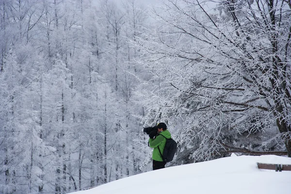 Daegwallyeong Berge im Winter — Stockfoto