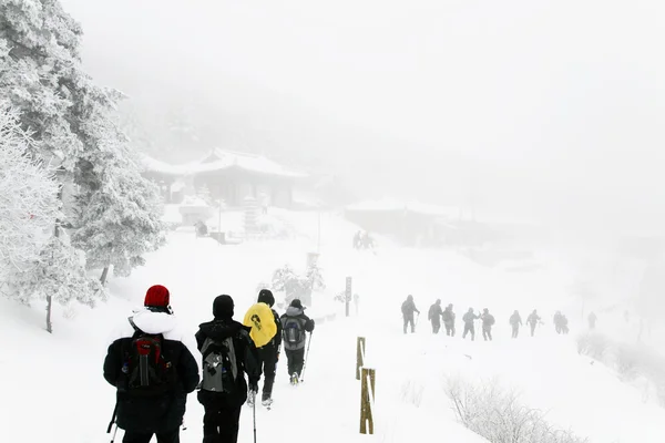 La gente cammina in belle montagne invernali — Foto Stock