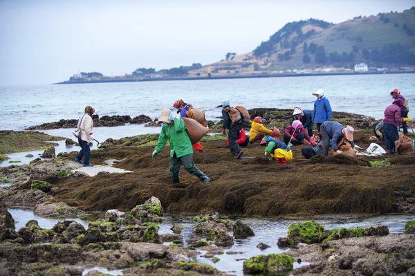 Fishing Village — Stock Photo, Image