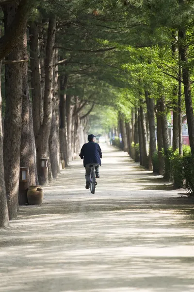 バイク ナミ島森林道路上の人々 — ストック写真