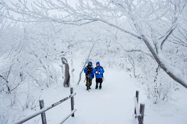 Persone al deogyusan national park in inverno — Stok fotoğraf