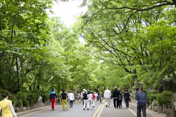 Ludzie chodzą przez duże drogi w parku namsan — Zdjęcie stockowe