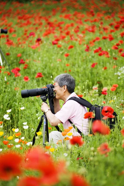 Pessoas no campo de flores de papoula bonita — Fotografia de Stock