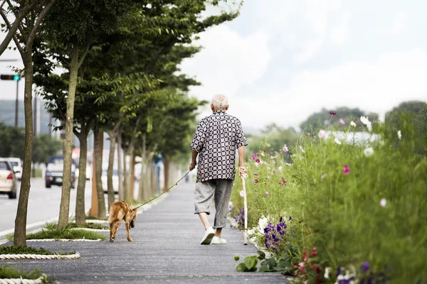 歳の男性と犬 — ストック写真