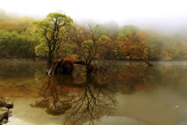 Jezioro jusanji — Zdjęcie stockowe