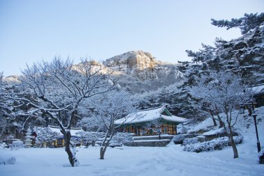 naesosa Tapınağı Güney Kore