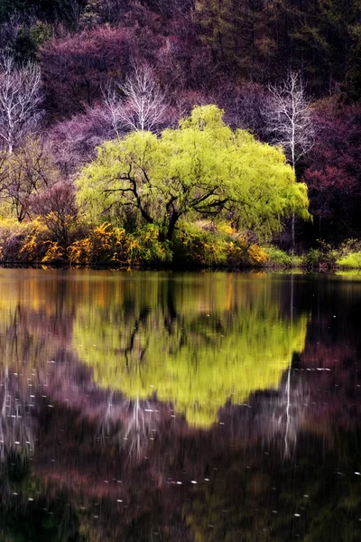 Mooie herfst landschap op yongbiji pond — Stockfoto