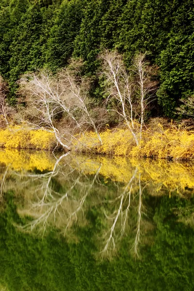 Bela paisagem de outono em Yongbiji Pond — Fotografia de Stock