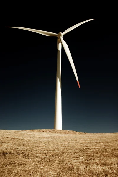 Wind turbines on the Samyang Ranch — Stock Photo, Image