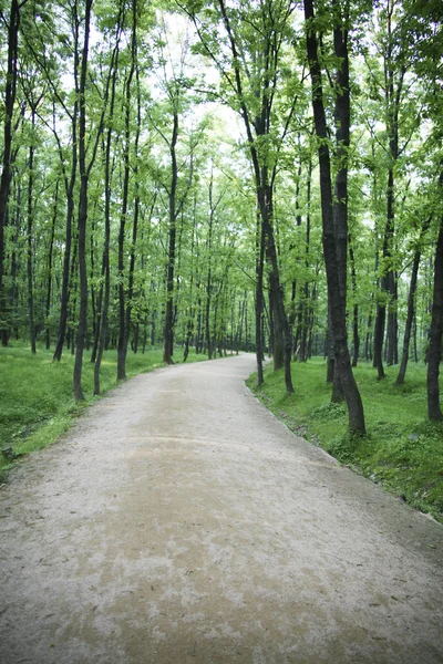 Landschaft in Südkorea — Stockfoto