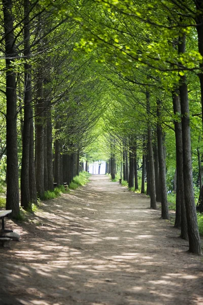 Landschaft in Südkorea — Stockfoto