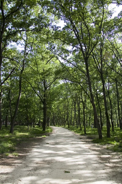 Landschaft in Südkorea — Stockfoto