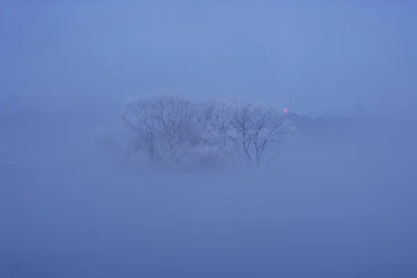 Paysage hivernal — Photo