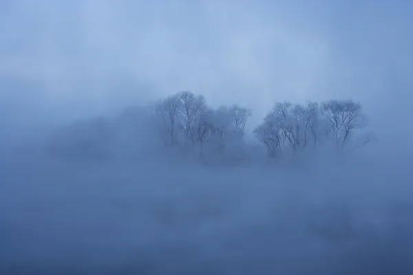 Winterlandschaft — Stockfoto