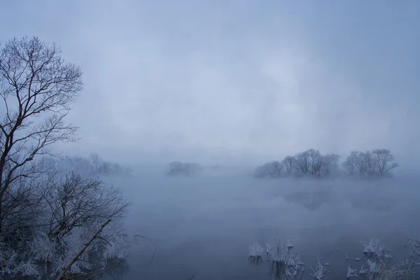 Paesaggio invernale — Foto Stock