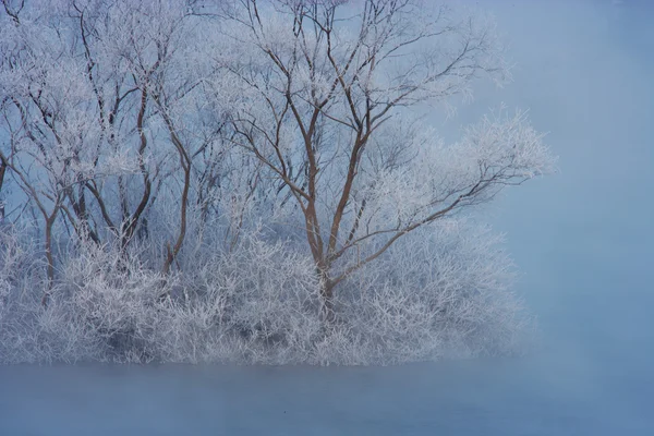 Paesaggio invernale — Foto Stock