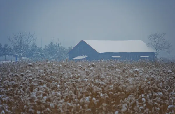 Paisaje invierno — Foto de Stock