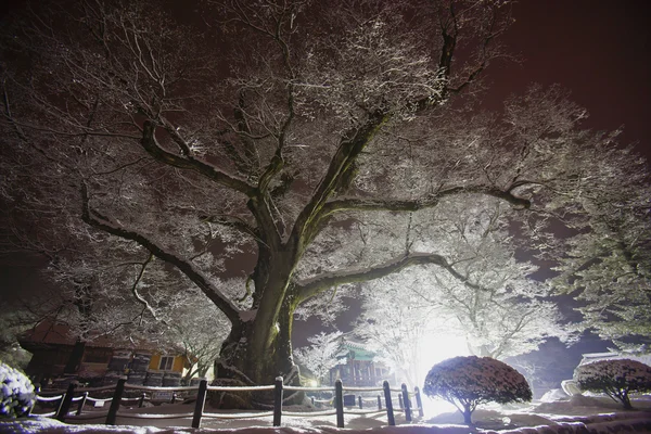 Tempel in Zuid-Korea — Stockfoto