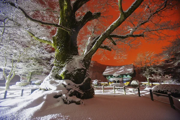 Tempio nella Corea del Sud — Foto Stock