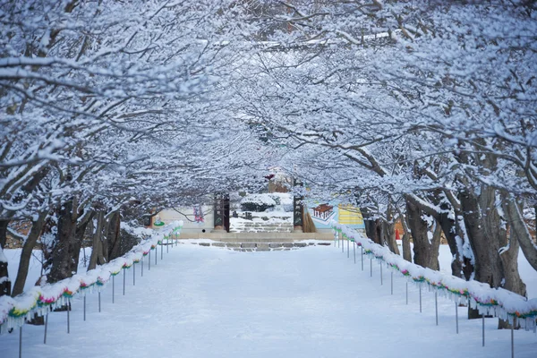 Paesaggio invernale — Foto Stock