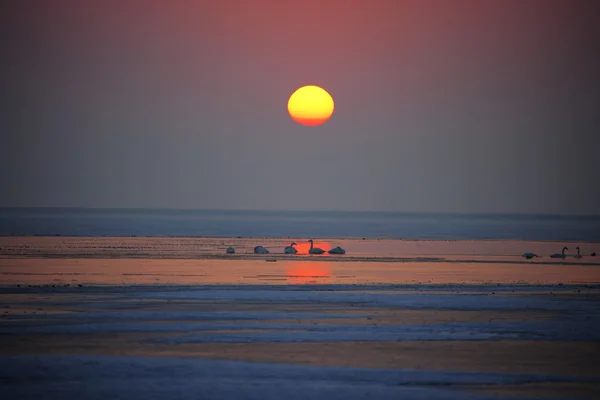 Winter landscape in South Korea — Stock Photo, Image