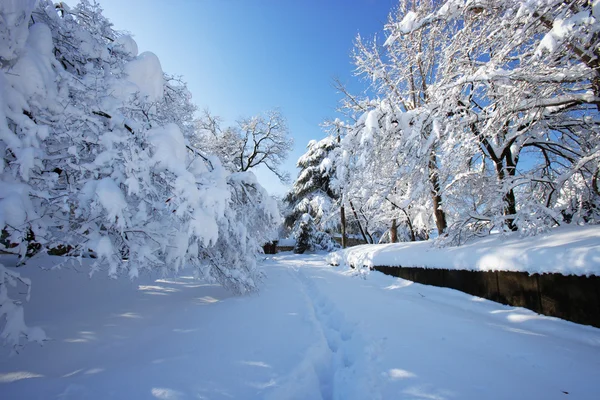 Landschap in Zuid-korea — Stockfoto