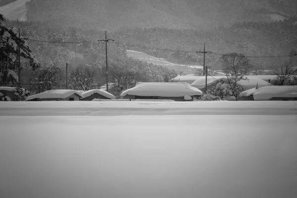 Snowy rural landscape — Stock Photo, Image