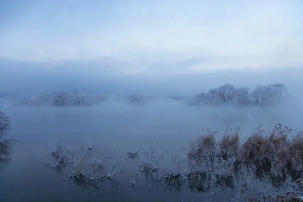 Winterlandschap Rechtenvrije Stockafbeeldingen