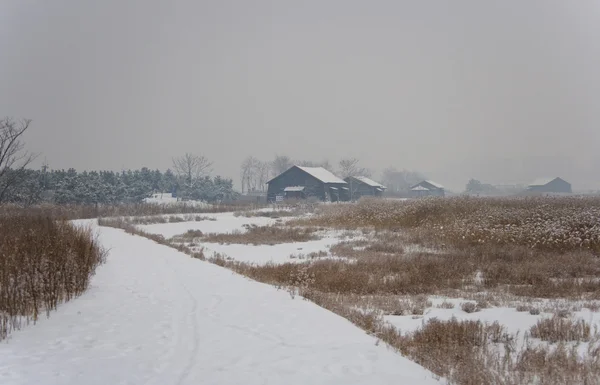 Winter landscape Stock Photo