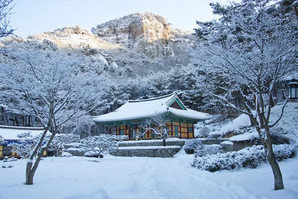 Tempio di Naesosa in Corea del Sud Fotografia Stock