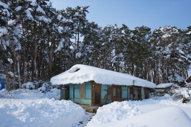 casas tradicionales Nevado