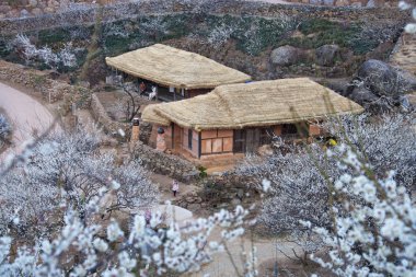 Güzel geleneksel sazdan evler