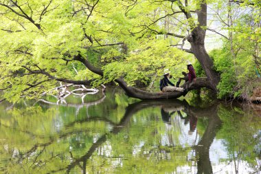 Güney Kore'de güzel gölet