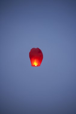festival di loto in Corea del sud