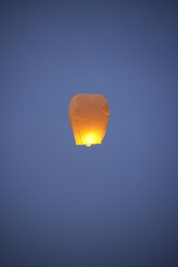 festival di loto in Corea del sud