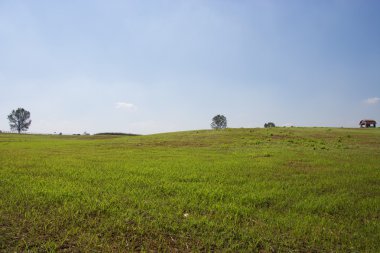 Güney Kore'de manzara