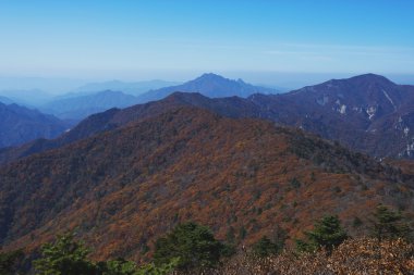 Güney Kore dağlarında