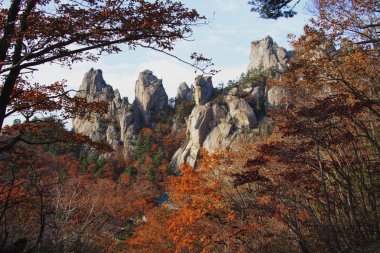 Güney Kore dağlarında