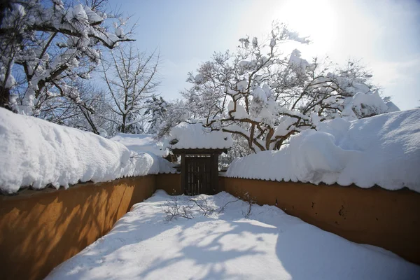 Традиционные дома снежные — стоковое фото