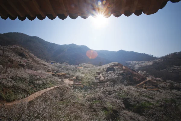 Hermoso pueblo en Corea del Sur — Foto de Stock