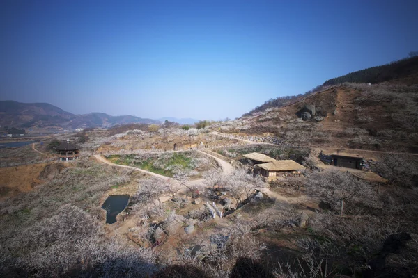 Mooi dorp in Zuid-korea — Stockfoto