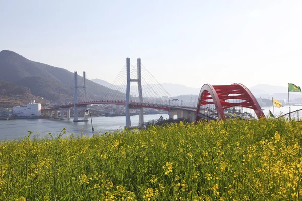 Güney Kore'de Köprüsü — Stok fotoğraf