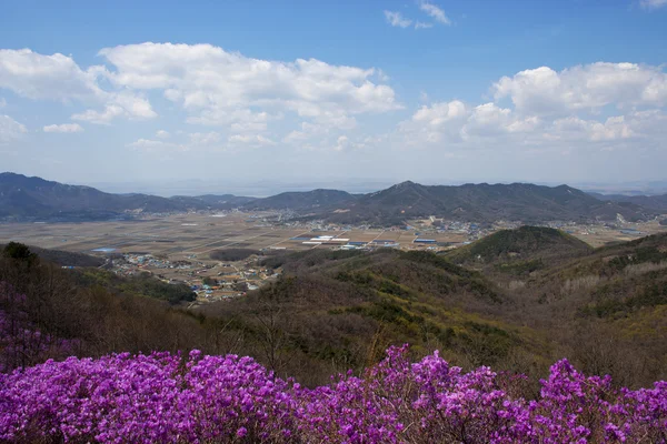 Bergen in Zuid-korea — Stockfoto