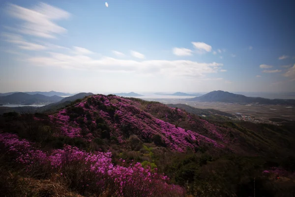 Montanhas na Coreia do Sul — Fotografia de Stock