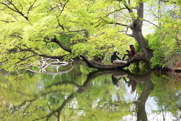 Hermoso estanque en Corea del Sur — Foto de Stock